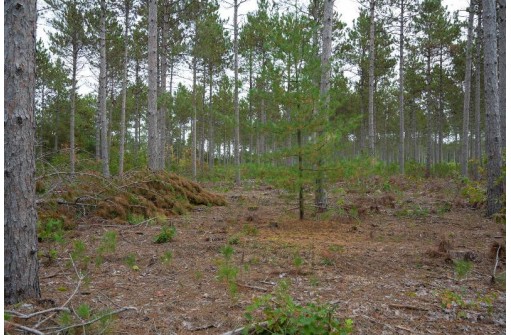 LOT 8 Bollig Court, Nekoosa, WI 54457