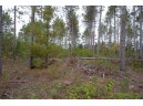 LOT 8 Bollig Court, Nekoosa, WI 54457