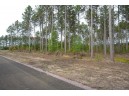 LOT 8 Bollig Court, Nekoosa, WI 54457