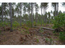 LOT 8 Bollig Court, Nekoosa, WI 54457