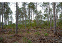 LOT 8 Bollig Court, Nekoosa, WI 54457