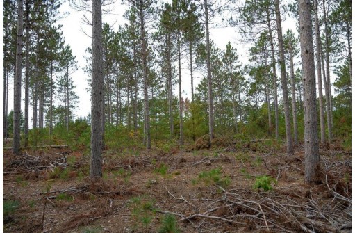 LOT 8 Bollig Court, Nekoosa, WI 54457