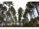 LOT 8 Bollig Court, Nekoosa, WI 54457