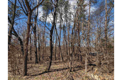 LOT 38 14th Court, Wisconsin Dells, WI 53965