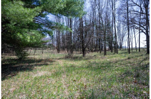 N8780 River Road, Camp Douglas, WI 54618