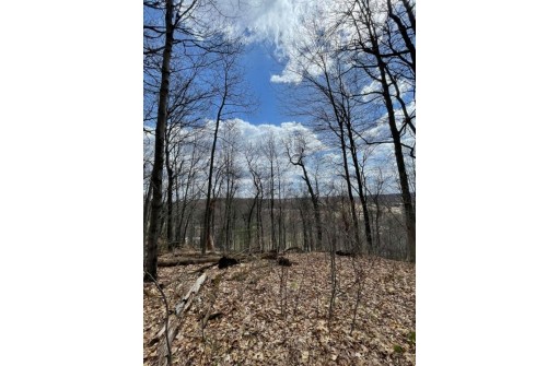 7.93 ACRES Brown Road, Elroy, WI 53929-1405