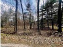 LOT 69 18th Lane, Arkdale, WI 54613