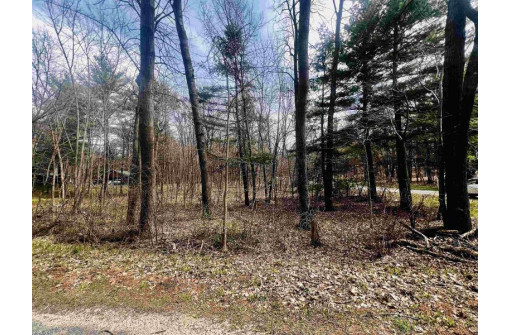 LOT 69 18th Lane, Arkdale, WI 54613