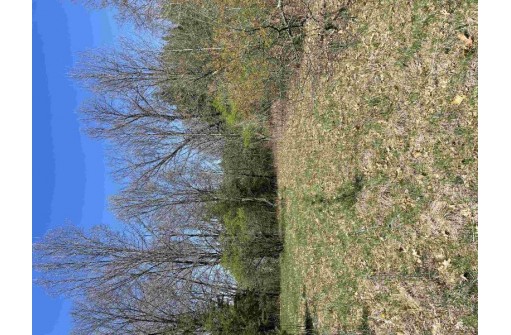 1.52 ACRES S Fur Drive, Wisconsin Dells, WI 53965