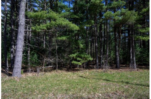 3.44AC 40th Street, Mauston, WI 53948