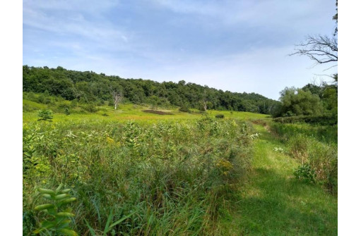 40 ACRES Esch Road, Dodgeville, WI 53533