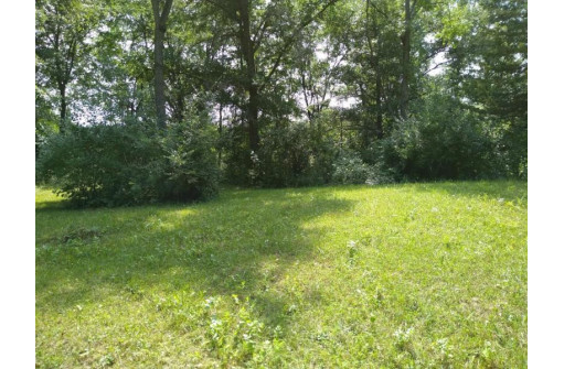 40 ACRES Esch Road, Dodgeville, WI 53533