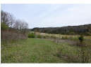 40 ACRES Esch Road, Dodgeville, WI 53533