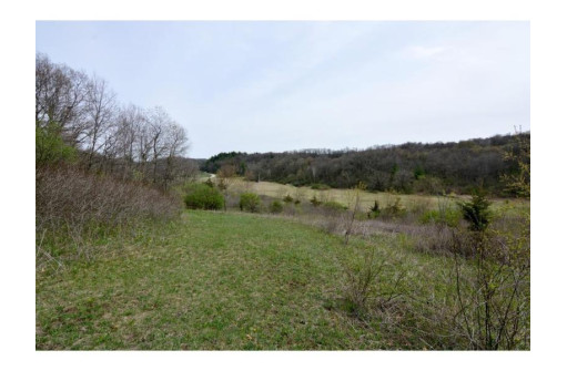 40 ACRES Esch Road, Dodgeville, WI 53533