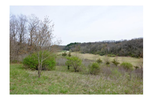 40 ACRES Esch Road, Dodgeville, WI 53533