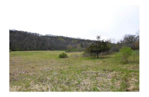 40 ACRES Esch Road, Dodgeville, WI 53533