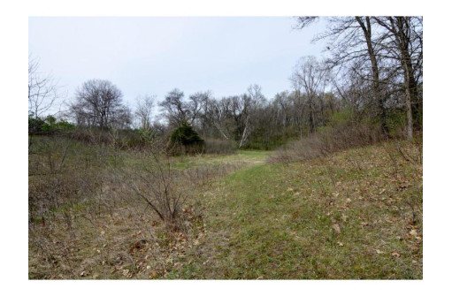 40 ACRES Esch Road, Dodgeville, WI 53533