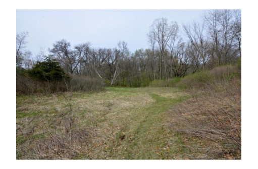 40 ACRES Esch Road, Dodgeville, WI 53533