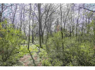 .69 AC Tareyton Circle Stoughton, WI 53589