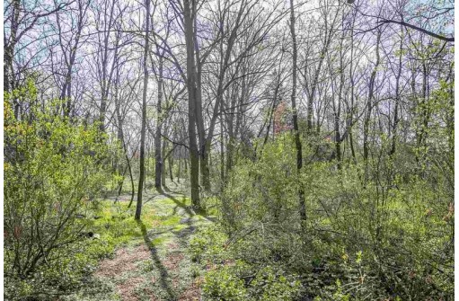 .69 AC Tareyton Circle, Stoughton, WI 53589