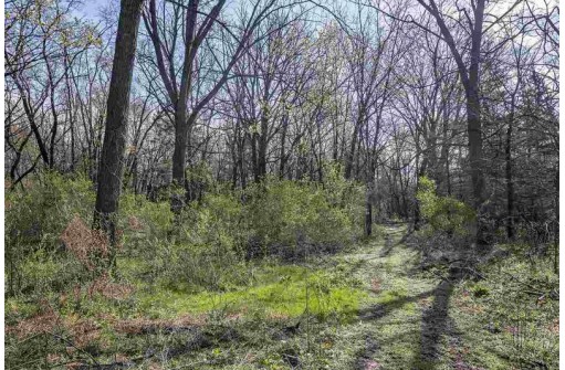 .69 AC Tareyton Circle, Stoughton, WI 53589