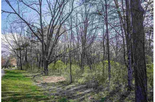 .69 AC Tareyton Circle, Stoughton, WI 53589