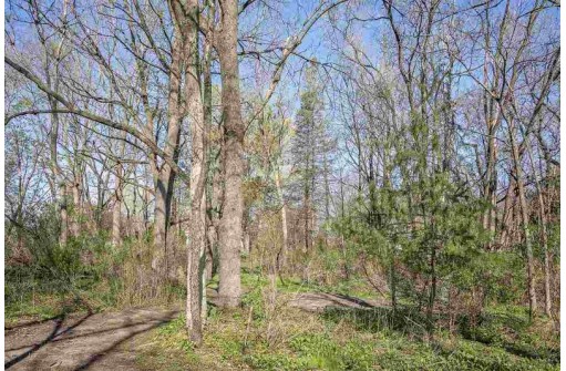 .69 AC Tareyton Circle, Stoughton, WI 53589