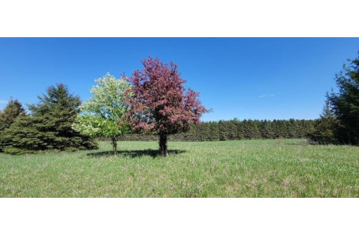 73 ACRES County Road O, Portage, WI 53901