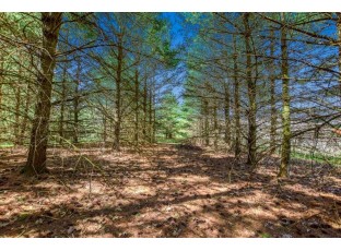 LOT 1 Davis Street Verona, WI 53593