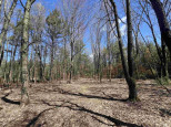 10 ACRES Highway 13 Nekoosa, WI 54457