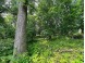 LOT 9 Blue Cedar Drive Verona, WI 53593