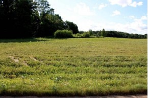 1801 Green Vistas Drive LOT 28