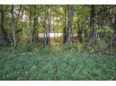2079 Peninsula Place LOT #4, Junction City, WI 54443