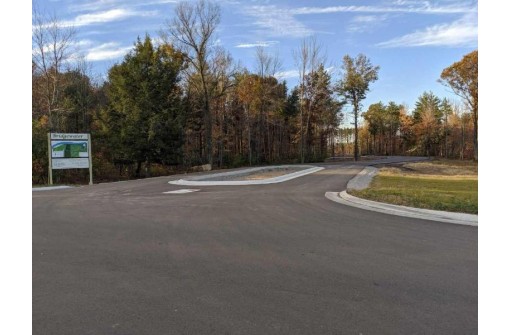 2964 Waterview Drive LOT #20, Biron, WI 54494