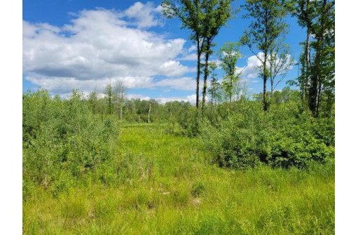 LOT 1 Johnson Road, Pittsville, WI 54466