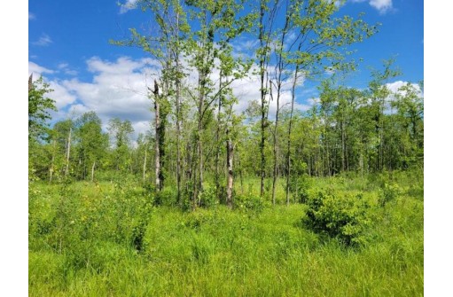 LOT 1 Johnson Road, Pittsville, WI 54466