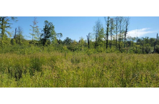 LOT 1 Johnson Road, Pittsville, WI 54466