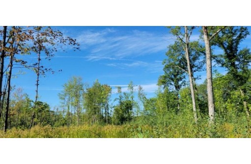 LOT 1 Johnson Road, Pittsville, WI 54466