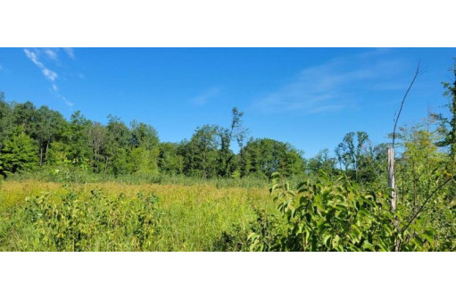 LOT 1 Johnson Road, Pittsville, WI 54466