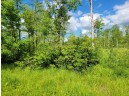 LOT 1 Johnson Road, Pittsville, WI 54466