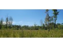 LOT 3 Johnson Road, Pittsville, WI 54466