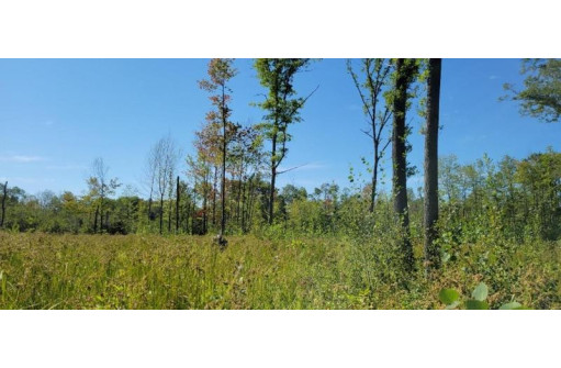 LOT 3 Johnson Road, Pittsville, WI 54466