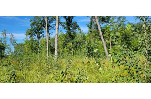 LOT 3 Johnson Road, Pittsville, WI 54466