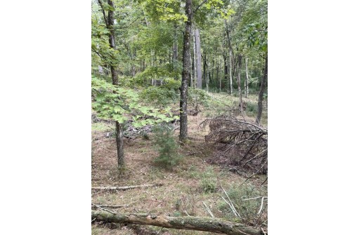13.62 ACRES Townline Road LOT 3 OF WCCSM 10968, Wisconsin Rapids, WI 54494