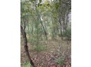 13.62 ACRES Townline Road LOT 3 OF WCCSM 10968, Wisconsin Rapids, WI 54494