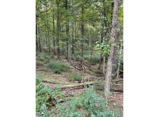 10.265 ACRES Townline Road LOT 8 OF WCCSM 10969 Wisconsin Rapids, WI 54489