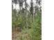 8.95 ACRES Townline Road LOT 11 OF WCCSM 1096 Wisconsin Rapids, WI 54494