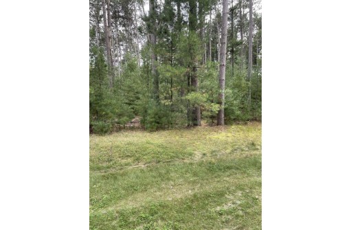 8.95 ACRES Townline Road LOT 11 OF WCCSM 1096, Wisconsin Rapids, WI 54494