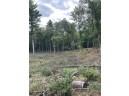 8.382 ACRES Townline Road LOT 12 OF WCCSM 1096, Wisconsin Rapids, WI 54494