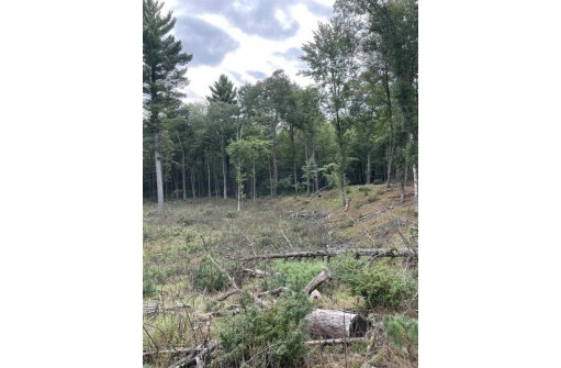 8.382 ACRES Townline Road LOT 12 OF WCCSM 1096, Wisconsin Rapids, WI 54494